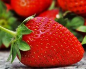 Warwick Valey Olive Oil