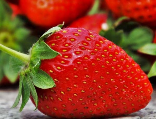 Baked Brie with Strawberry Balsamic