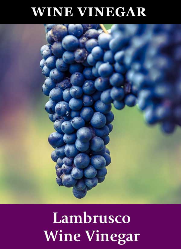 Lambrusco Wine Vinegar